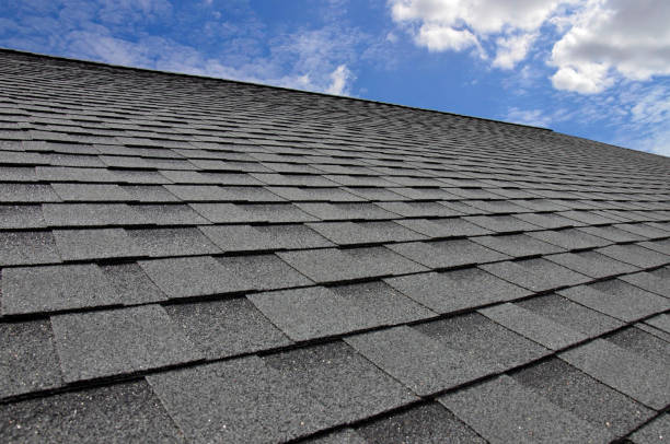 Best Steel Roofing  in Colonia, NJ